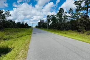 13198 Barnevelde Rd, Brooksville, FL 34614 - Photo 5