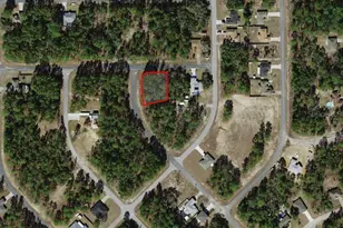 3662 W Galtonia Ln, Citrus Springs, FL 34433 - Photo 1