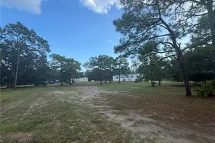 16724 Gopher Hills Ln, Hudson, FL 34667 - Photo 3