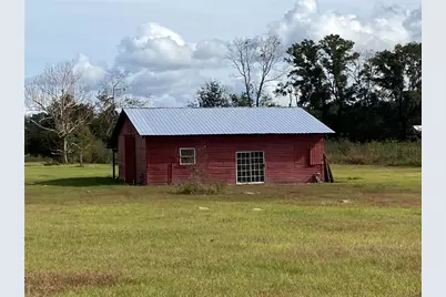 5559 SW 42nd Place, Bell, FL 32619 - Photo 5