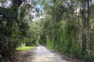 5559 SW 42nd Pl, Bell, FL 32619 - Photo 9