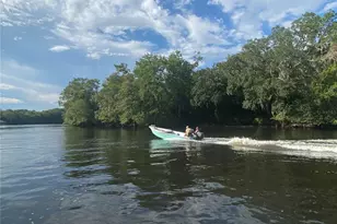 5559 SW 42nd Pl, Bell, FL 32619 - Photo 5