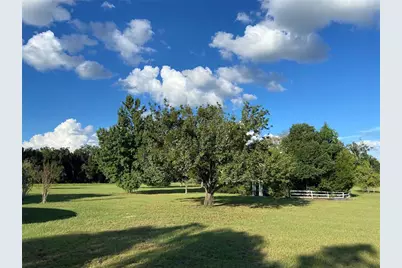 5559 SW 42nd Place, Bell, FL 32619 - Photo 23