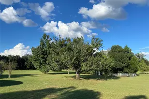 5559 SW 42nd Pl, Bell, FL 32619 - Photo 23