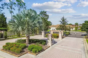 1384 Forestedge Blvd, Oldsmar, FL 34677 - Photo 81