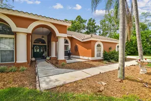 1384 Forestedge Blvd, Oldsmar, FL 34677 - Photo 9