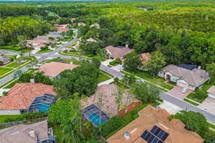 1384 Forestedge Blvd, Oldsmar, FL 34677 - Photo 77