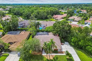 1384 Forestedge Blvd, Oldsmar, FL 34677 - Photo 71