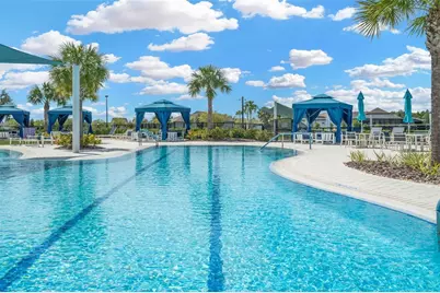 19494 Sea Glass Circle, Land O Lakes, FL 34638 - Photo 43