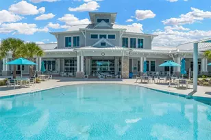 19494 Sea Glass Cir, Land O Lakes, FL 34638 - Photo 49