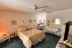 13294 Pinellas Ave, Spring Hill, FL 34609 - Photo 5