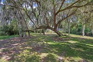 4235 Jennings Fish Camp Rd, Lake Wales, FL 33898 - Photo 77