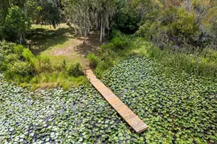 4235 Jennings Fish Camp Rd, Lake Wales, FL 33898 - Photo 93