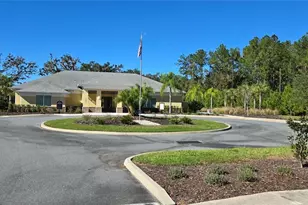 19906 Tattnall Way, Brooksville, FL 34601 - Photo 45