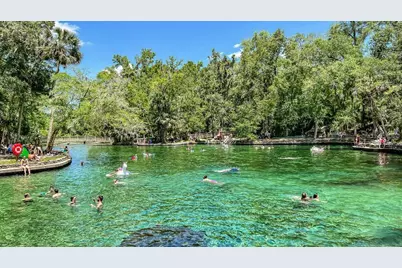 632 Emerald Grove Drive, Apopka, FL 32703 - Photo 25