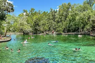 636 Emerald Grv Dr, Apopka, FL 32703 - Photo 25