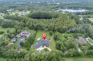 7908 Lady Lake Ln, Odessa, FL 33556 - Photo 69