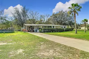 35420 Carval Dr, Zephyrhills, FL 33541 - Photo 3