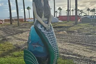 7375 Crestwood Dr, Weeki Wachee, FL 34613 - Photo 75