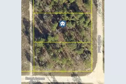 14167 Condor Road, Brooksville, FL 34614 - Photo 1