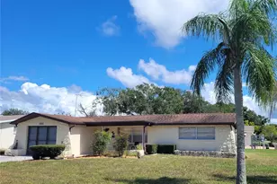2826 Raven Dr, Holiday, FL 34690 - Photo 25