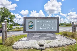 4219 Surfside Cir, Spring Hill, FL 34606 - Photo 59