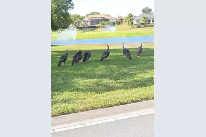 9257 Bonnie Cove Drive, Weeki Wachee, FL 34613 - Photo 33