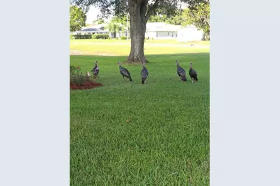 9257 Bonnie Cove Drive, Weeki Wachee, FL 34613 - Photo 31