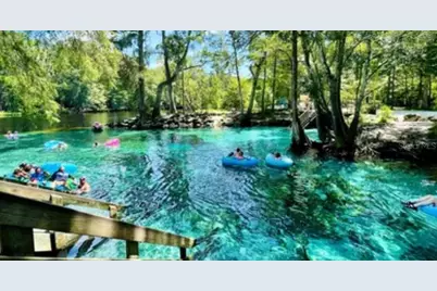 24415 NW 90th Place, Alachua, FL 32615 - Photo 39