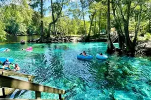 24415 NW 90th Pl, Alachua, FL 32615 - Photo 39