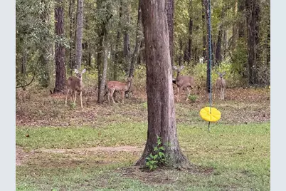 24415 NW 90th Place, Alachua, FL 32615 - Photo 29