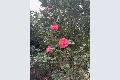 24415 NW 90th Place, Alachua, FL 32615 - Photo 7