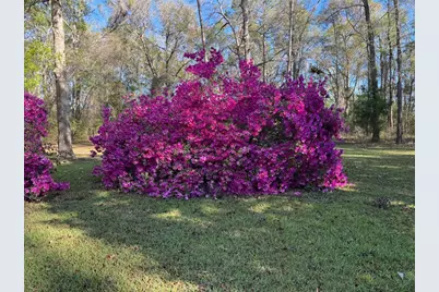 24415 NW 90th Place, Alachua, FL 32615 - Photo 3