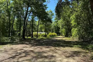 24415 NW 90th Pl, Alachua, FL 32615 - Photo 33