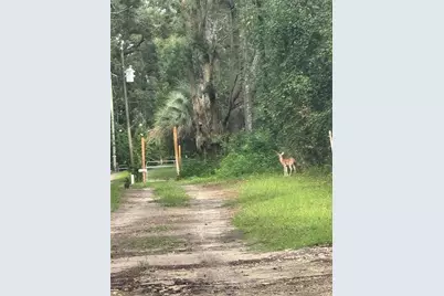 24415 NW 90th Place, Alachua, FL 32615 - Photo 31