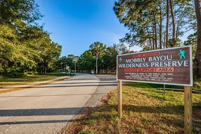 646 Timber Bay Circle W, Oldsmar, FL 34677 - Photo 43