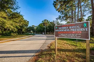 646 Timber Bay Cir W, Oldsmar, FL 34677 - Photo 43