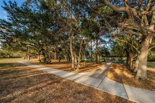 646 Timber Bay Cir W, Oldsmar, FL 34677 - Photo 49