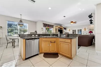 14120 Manda Court, Odessa, FL 33556 - Photo 9