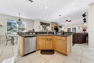 14120 Manda Ct, Odessa, FL 33556 - Photo 9