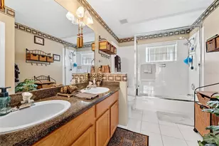 14120 Manda Ct, Odessa, FL 33556 - Photo 13