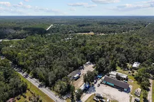 4945 SW 358 Hwy, Steinhatchee, FL 32359 - Photo 33