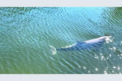 14905 Old Dixie Highway, Hudson, FL 34667 - Photo 7