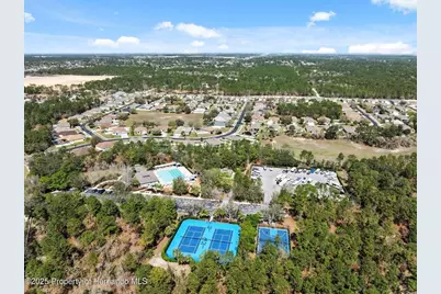 13196 Golden Lime Avenue, Spring Hill, FL 34609 - Photo 59