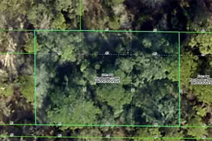 Rock Duck Ave, Brooksville, FL 34614 - Photo 1