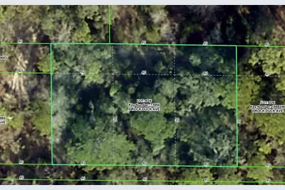 Rock Duck Avenue, Brooksville, FL 34614 - Photo 1