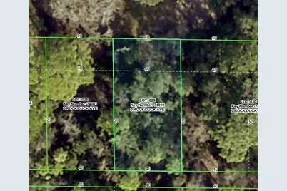 Rock Duck Avenue, Brooksville, FL 34614 - Photo 1