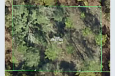 Rock Duck Avenue, Brooksville, FL 34614 - Photo 1