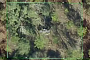 Rock Duck Ave, Brooksville, FL 34614 - Photo 1