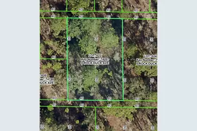 Rock Duck Avenue, Brooksville, FL 34614 - Photo 1